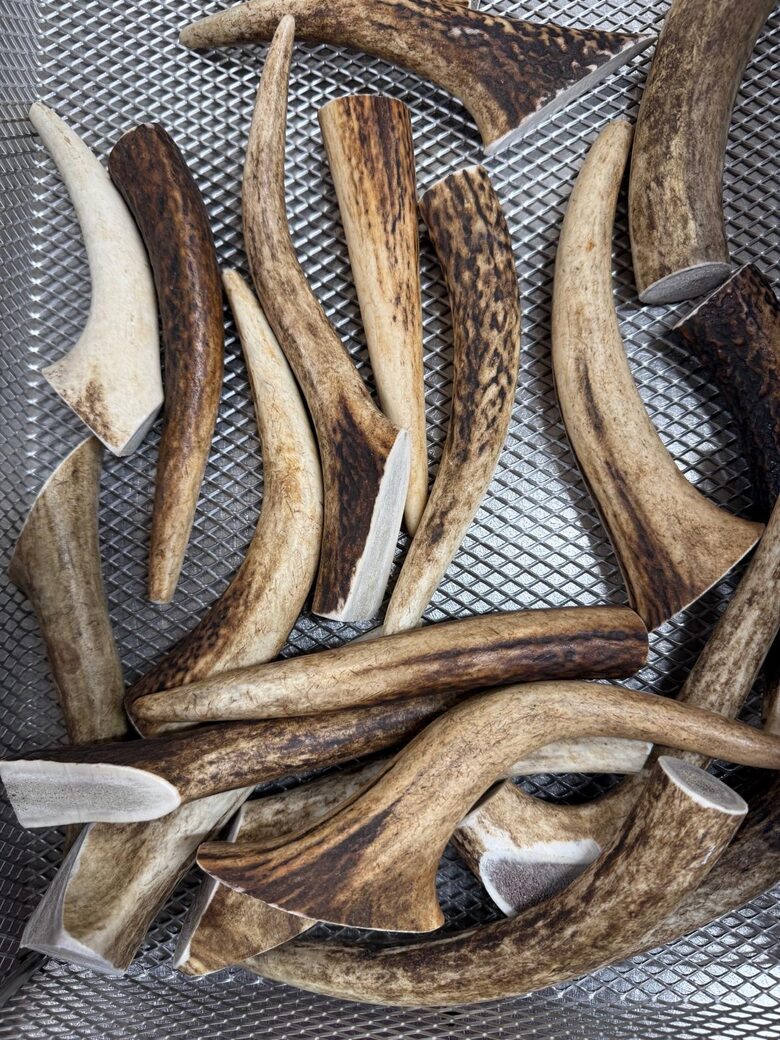 Deer antler dog chew toy - ( Small 50-80g.)