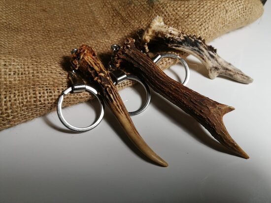 Buka raga, atslēgas piekariņš