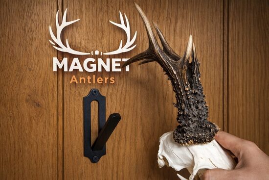 Trofeju stiprinājumi