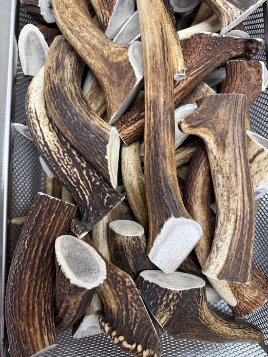 Brieža raga suņu košļājamā rotaļlieta - (Lieli 151-220g.)