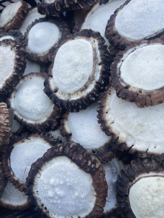 1 KG Brieža raga rozes