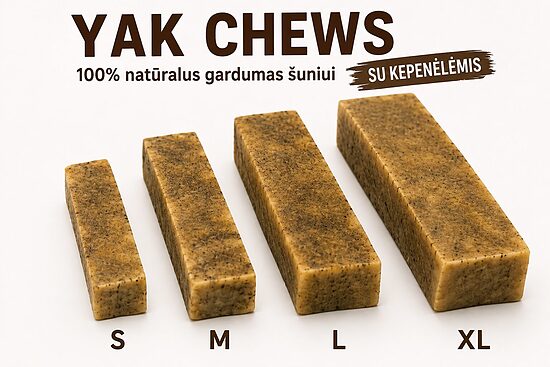 Yak Cheese Dog Chews-Jak siera košļājamais sunim ( XL-size ) - AR AKNĀM | 100% dabīgs gardums